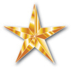 Zero Injury Safety Awards Gold Star