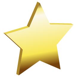 Zero Injury Safety Awards Gold Star